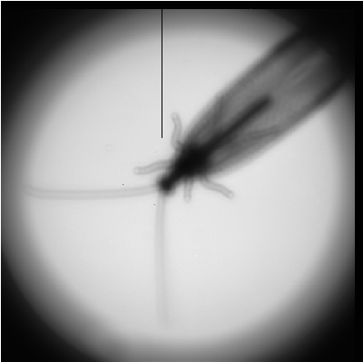 friend2.png (225.3 KB) Vaadatud 3004 korda friend2.png